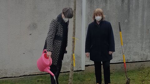 Präsidentin der IT-Stelle und Justizministerin gießen den neu gepflanzten Baum