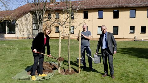 Baumpflanzung Amtsgericht Kassel Zweigstelle Hofgeismar