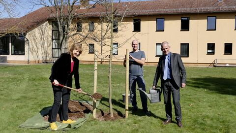 Justizministerin pflanzt Kirschborkeneiche in Hofgeismar