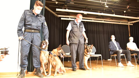 Hundeführer mit ihren Hunden