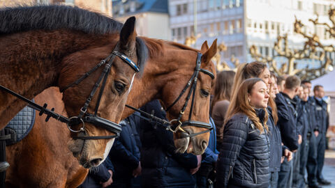 Reiterstaffel beim Auftakt zum Tag des Rechtsstaates Reiterstaffel beim Auftakt zum Tag des Rechtsstaates